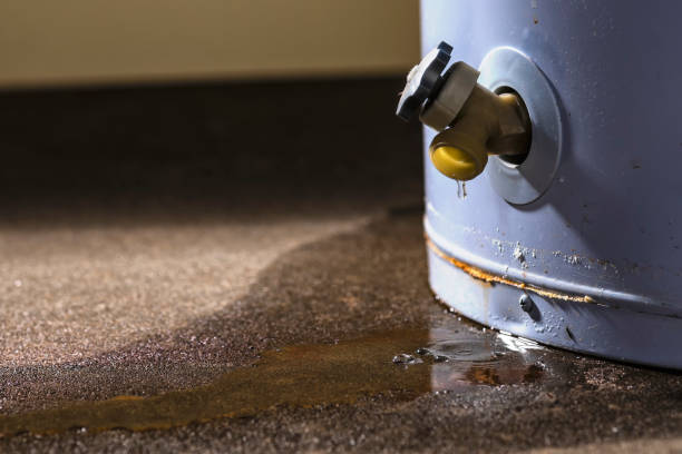Best 24-hour water damage restoration  in North Fort Myers, FL