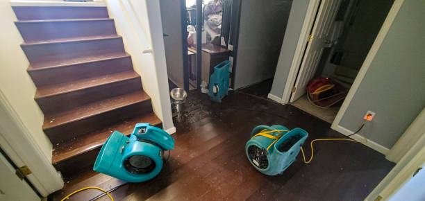 Best Local water damage restoration  in North Fort Myers, FL
