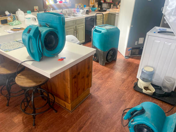 Carpet water damage restoration in North Fort Myers, FL