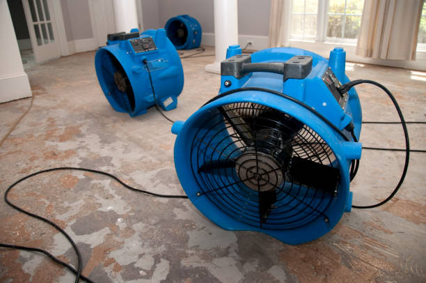Best Commercial water damage restoration  in North Fort Myers, FL