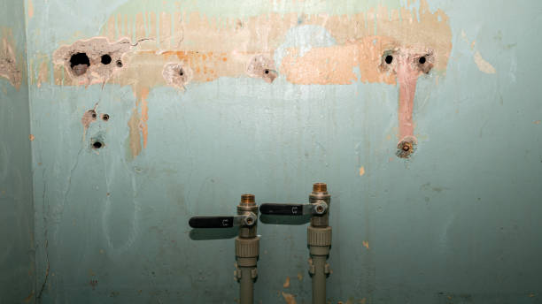 Best Sewage cleanup and water damage restoration  in North Fort Myers, FL