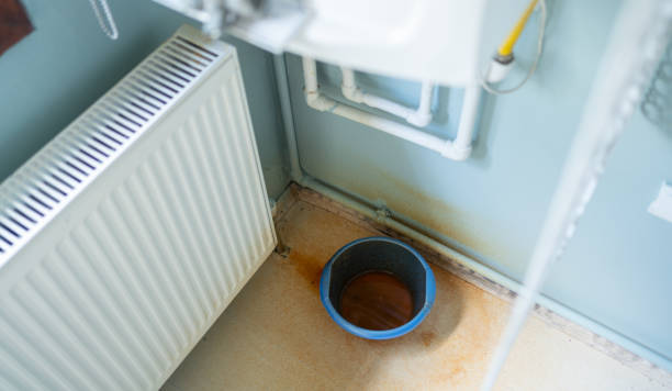 Best Flood restoration services  in North Fort Myers, FL