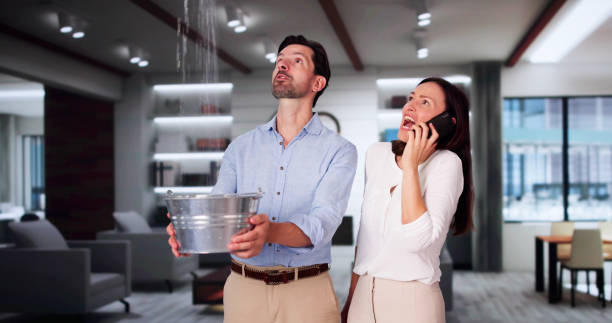 Reliable North Fort Myers, FL Water damage restoration Solutions